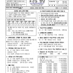 11월 9일 라테라노 대성전 봉헌 축일