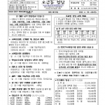 11월 30일 대림 제1주일