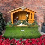 구유 및 성전 트리 설치 (청년부) 251130