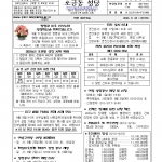 8월 23일 연중 제21주일